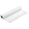 Image de Epson pap photo premium semi-glacé (250) 255g 44'' (1,118x30,5m)
