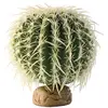 Image de Kit de décoration cactus oursin Exo Terra Vert 15x15x15,5 cm 33/PT2985