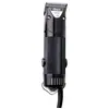 Image de Tondeuse sur secteur 1 vitesse Oster A5 Golden Noir TU 18555