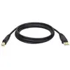 Image de Tripp lite u022-006 câble usb usb 2.0 1,8 m usb a usb b 0,48 gbit/s noir