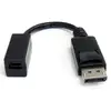 Image de StarTech.com Câble DisplayPort vers Mini DisplayPort 15 cm - Vidéo UHD 4K x 2K - Câble Adaptateur DP Mâle vers Mini DisplayPort Femelle - Câble de Ral