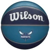 Image de Balle de basket-ball Wilson NBA Tribute Charlotte Hornets BL 7 WTB1300XBCHA