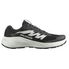 Image de Chaussures de Trail Salomon Alphaglide Homme Noir/Phantom 46 2/3 L47801000