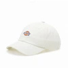 Image de Casquette Dickies Hardwick Cloud Blanc Taille unique DK0A4TKVC581