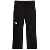 Image de Pantalon Ski et Snowboard noir Homme The North Face Descendit S NF0A87ZYJK3
