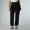 Image de The North Face Pantalon Cargo Standard Fuselé Winter Exploration Pour Homme Tnf Black Taille male