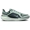 Image de Chaussures de running femme Nike Pegasus 41 Gore-Tex Bleu 36,5 MAG11055188