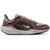 Image de Chaussures de running femme Nike Pegasus 41 Gore-Tex Rouge 42 MAG11055212