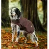 Image de Manteau pour chien Horseware Newmarket Heritage Marron S RRHVC0-NRKB-SM