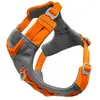 Image de Harnais pour chien Kurgo Journey Air Orange S CY0399