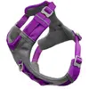 Image de Harnais pour chien Kurgo Journey Air Violet M CY0396