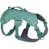 Image de Harnais pour chien Ruffwear Web Master  Vert XS (43/56 cm) 30104-355S1