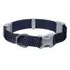 Image de Collier pour chien Ruffwear Confluence Bleu 36/51 cm 2585-4331420