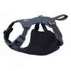 Image de Harnais pour chien Ruffwear Load Up Bleu L/XL 30602-413LL1