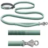 Image de Laisse pour chien élastique Ruffwear Roamer Vert 2,2/3,4 m 40356-35573