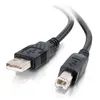 Image de C2G Câble USB 2.0 A/B de 2 m - Noir, 2 m, USB A, USB B, USB 2.0, 0,48 Gbit/s, Noir 28102