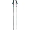 Image de Bâtons De Randonnée Distance Carbon Flz - 110 cm - Black DiamOnd