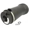 Image de Ressort pneumatique ARNOTT EUROPE A-2153