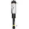 Image de Amortisseur pneumatique ARNOTT EUROPE AS-2761