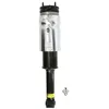 Image de Amortisseur pneumatique ARNOTT EUROPE AS-2809
