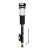 Image de Amortisseur pneumatique ARNOTT EUROPE AS-2821