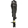 Image de Amortisseur pneumatique ARNOTT EUROPE AS-2795