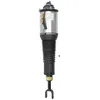 Image de Amortisseur pneumatique ARNOTT EUROPE AS-2893 gauche
