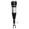 Image de Amortisseur pneumatique ARNOTT EUROPE AS-2888