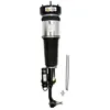 Image de Amortisseur pneumatique ARNOTT EUROPE AS-2852