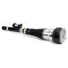Image de Amortisseur pneumatique ARNOTT EUROPE AS-3364