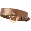 Image de Collier et Laisse DARLING PET Bronze 1m