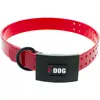 Image de Collier pour chien I-DOG Premium Rouge 3,5 mm I152502