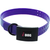 Image de Collier pour chien I-DOG Premium Violet 3,5 mm I152508