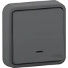 Image de Poussoir lumineux étanche complet Mureva Styl, SCHNEIDER ELECTRIC, anthracite