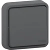 Image de Interrupteur va-et-vient étanche encastré complet Mureva Styl, SCHNEIDER ELECTRIC, anthracite
