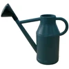 Image de Arrosoir plastique rond Lyonnais + pomme 6 L