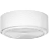Image de SAMMODE STUDIO - Plafonnier G13 - Blanc - Métal - Designer Pierre Guariche