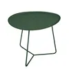 Image de Fermob - Table basse Cocotte - Vert - Acier peint - Designer Studio Fermob