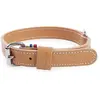 Image de Collier pour chien en cuir Martin Sellier Beige 20/45 cm 3002822