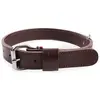 Image de Collier double épaisseur cuir vachette pour chien Martin Sellier 35/75 Marron TU 3002868