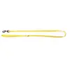 Image de Laisse pour chien nylon Martin Sellier Flash Jaune 10x100 cm 3004253