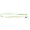 Image de Laisse pour chien nylon Martin Sellier Safety Vert 10/120 cm 3004292