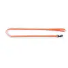 Image de Laisse pour chien nylon Martin Sellier Safety Orange 10/120 cm 3004294