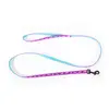 Image de Laisse pour chien nylon Martin Sellier Cat Bico Violet 10x120 cm 3004810