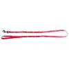 Image de Laisse pour chien nylon Martin Sellier Egypte Rouge 10x100 cm 3004827