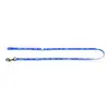 Image de Laisse pour chien nylon Martin Sellier Fish Star Bleu 10x100 cm 3005015