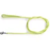 Image de Laisse pour chien longue nylon rond Martin Sellier Vert 3 m 3005315