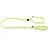 Image de Laisse pour chien classic educatif nylon Martin Sellier Vert TU 3005521