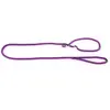 Image de Laisse pour chien classic educatif nylon Martin Sellier Violet TU 3005529