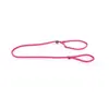Image de Laisse pour chien classic educatif nylon Martin Sellier Rose TU 3005534